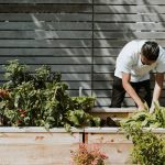 Easy Application Liquid Fertilizer How To: 7 Proven Tips to Avoid Costly Mistakes
