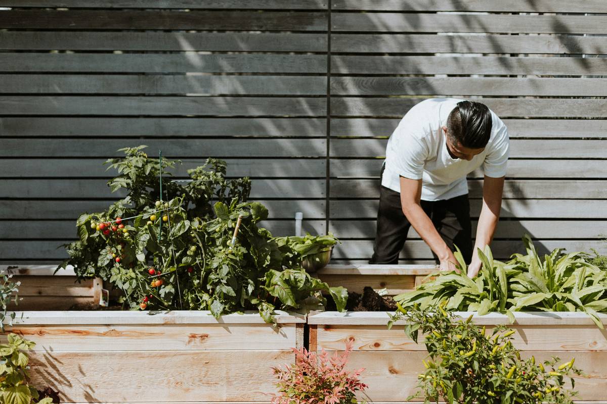 Easy Application Liquid Fertilizer How To: 7 Proven Tips to Avoid Costly Mistakes